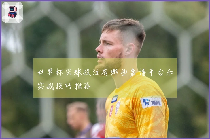 世界杯买球投注有哪些靠谱平台和实战技巧推荐