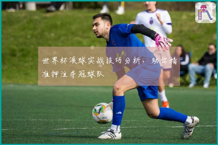 世界杯滚球实战技巧分析，助你精准押注夺冠球队