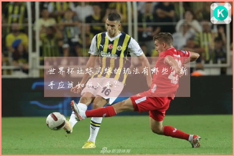 世界杯让球买球的玩法有哪些？新手应该如何入手？