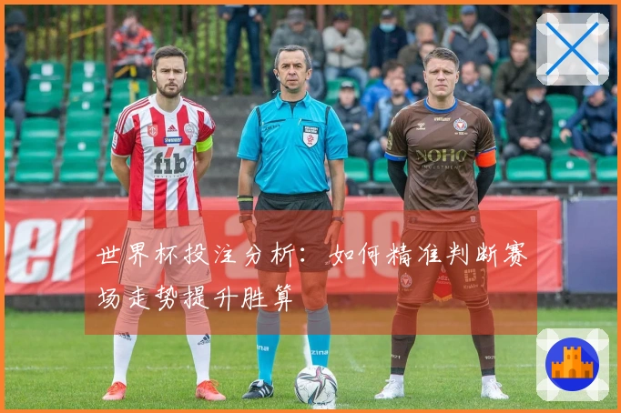 世界杯投注分析：如何精准判断赛场走势提升胜算
