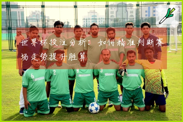 世界杯投注分析：如何精准判断赛场走势提升胜算