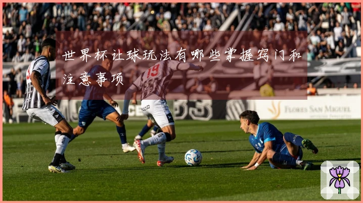 世界杯让球玩法有哪些掌握窍门和注意事项